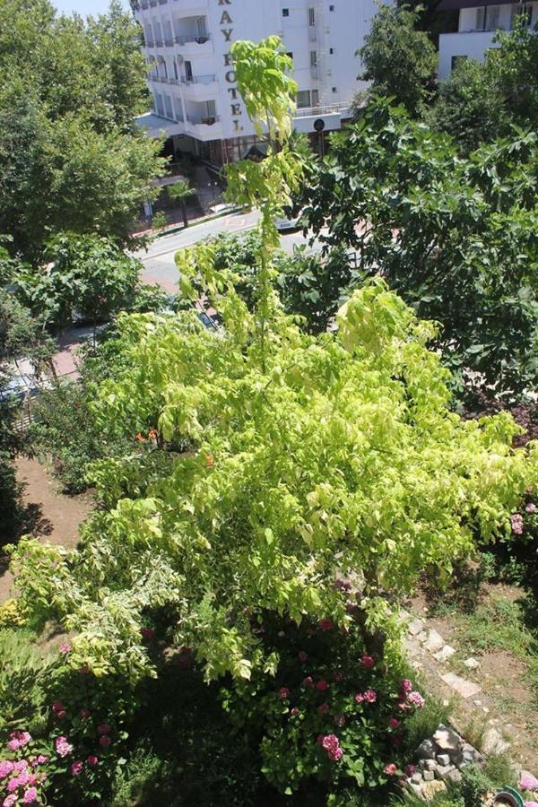 Thermal Orkide Pansiyon Yalova  Extérieur photo